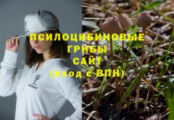 спайс Арсеньев