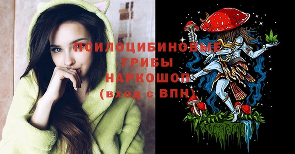 спайс Арсеньев