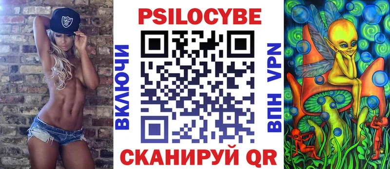 купить  цена  Сясьстрой  Псилоцибиновые грибы прущие грибы 